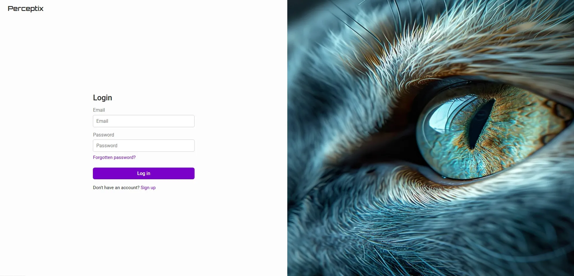 an AI generated cat looking at a log in screen