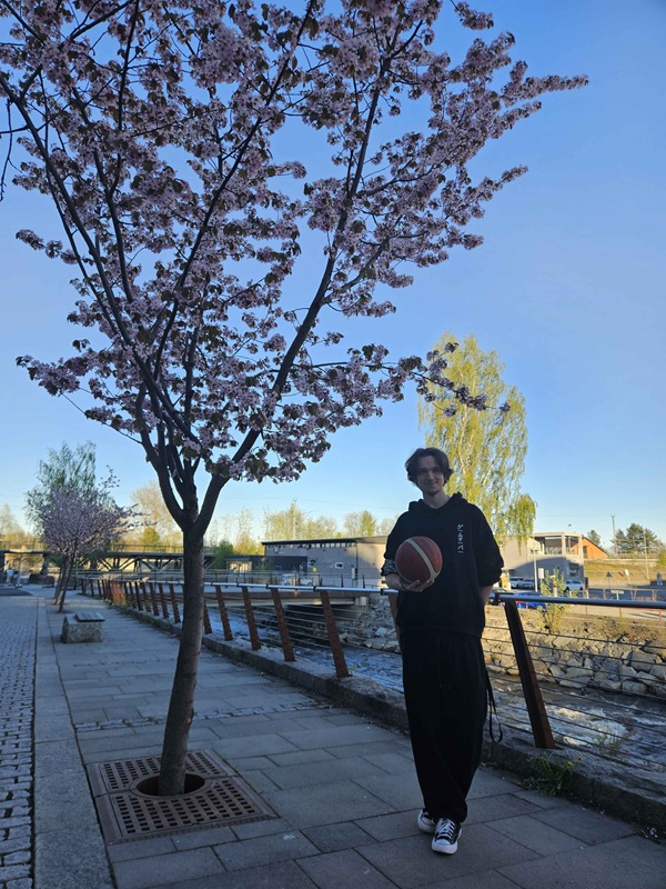 person standing in front of a river under a cherry tree